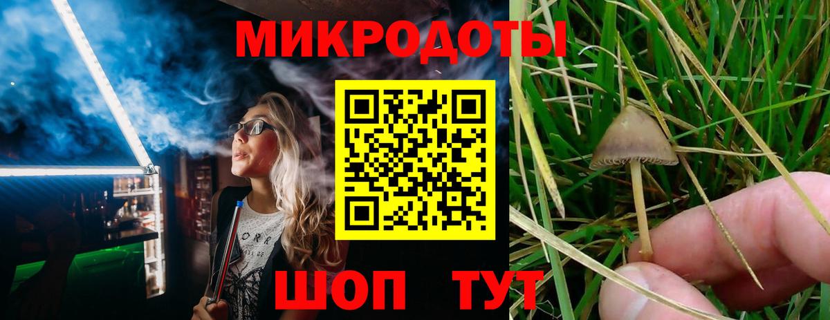 Галлюциногенные грибы Magic Shrooms  Вход с VPN  Галлюциногенные грибы Cubensis  Соликамск 